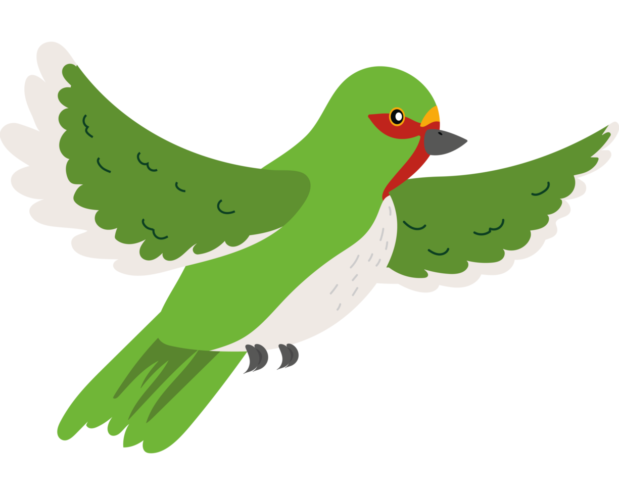 A green bird with white wings and red beak png