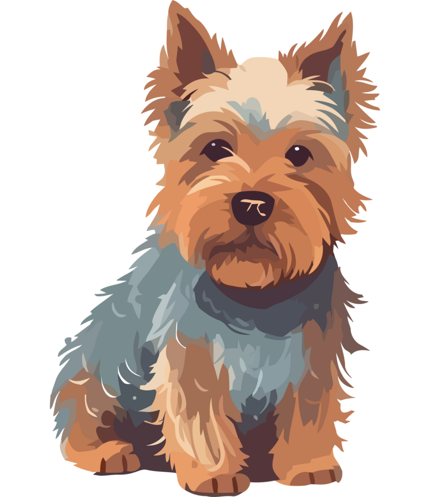 Yorkshire terrier dog clipart png