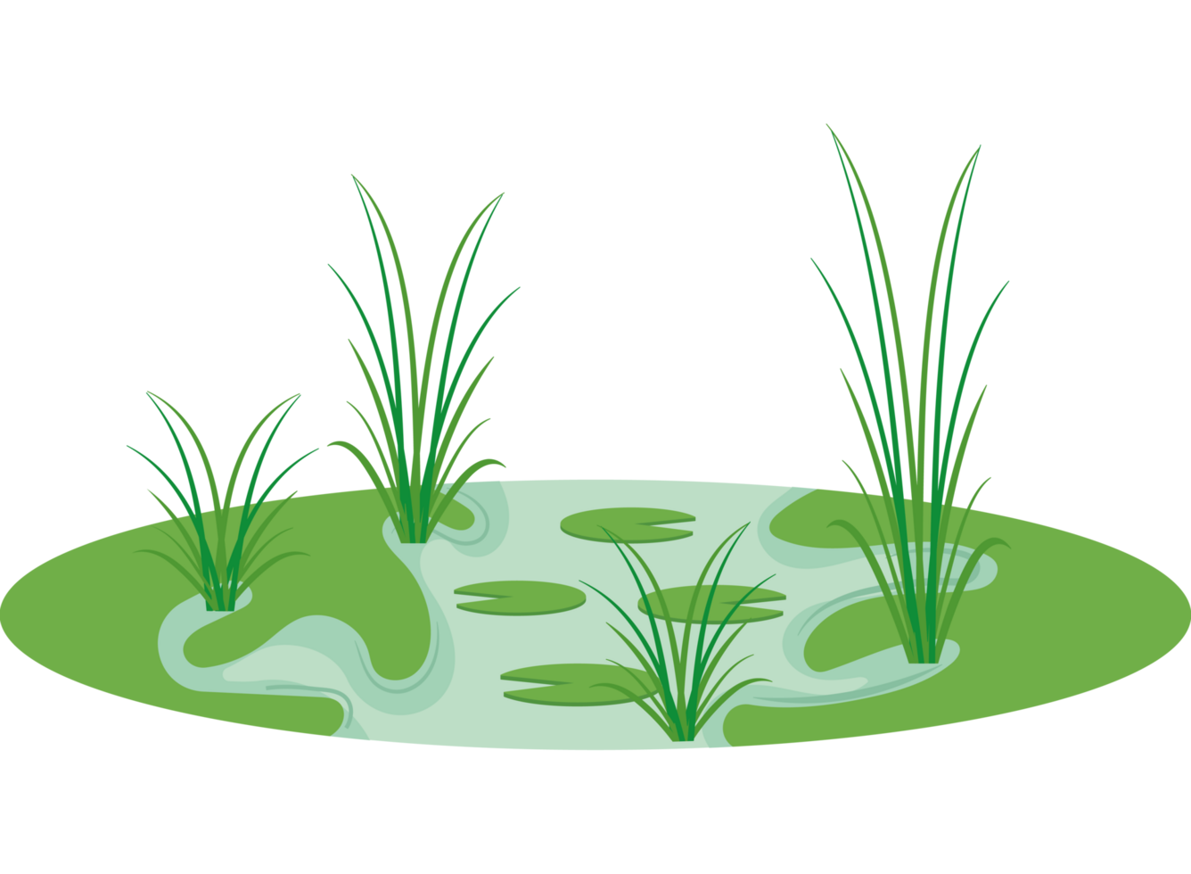A pond with grass and water png