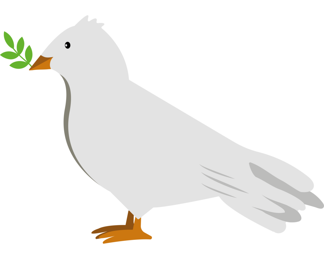 A white dove with a green leaf in its beak png