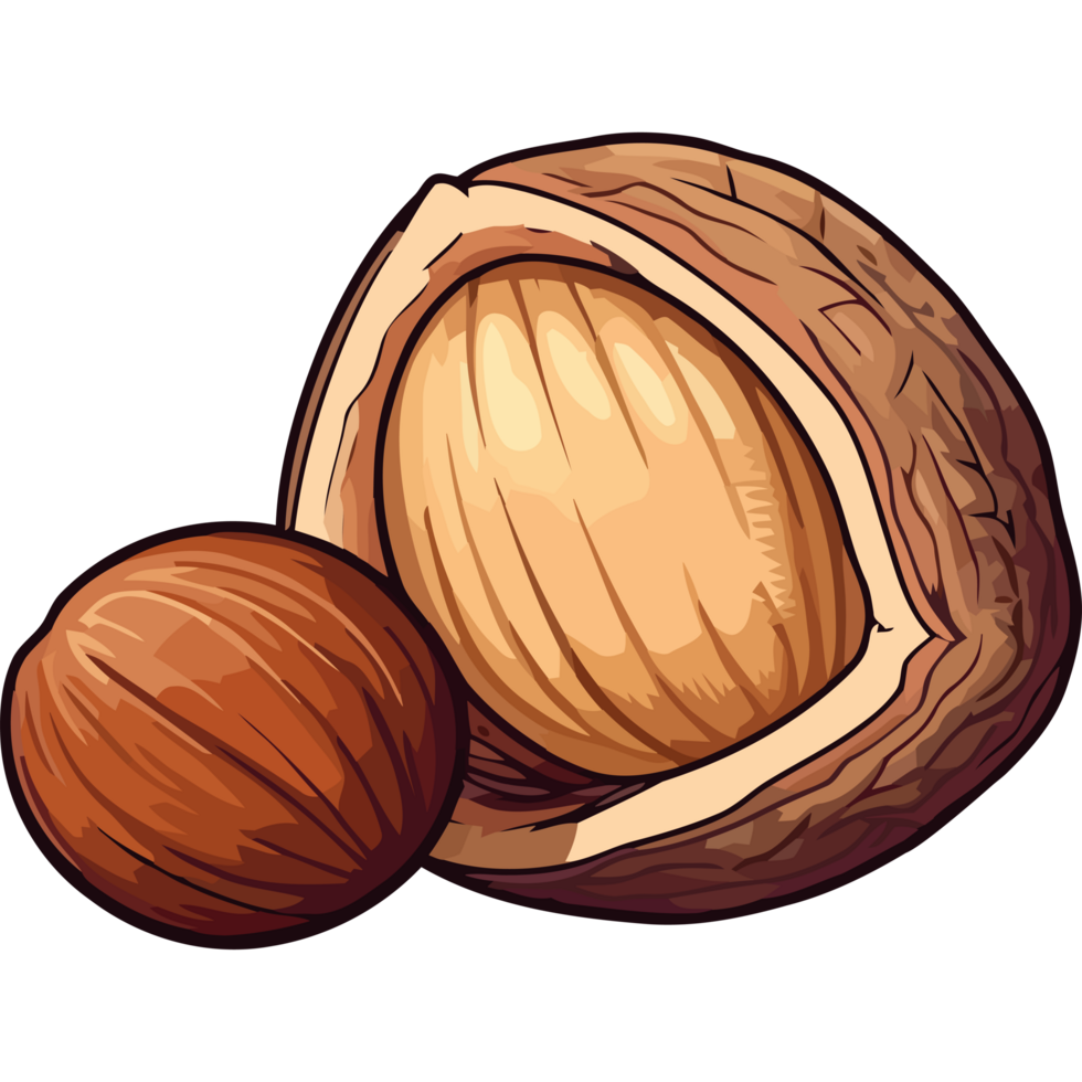 Nut shell and nut with shell png