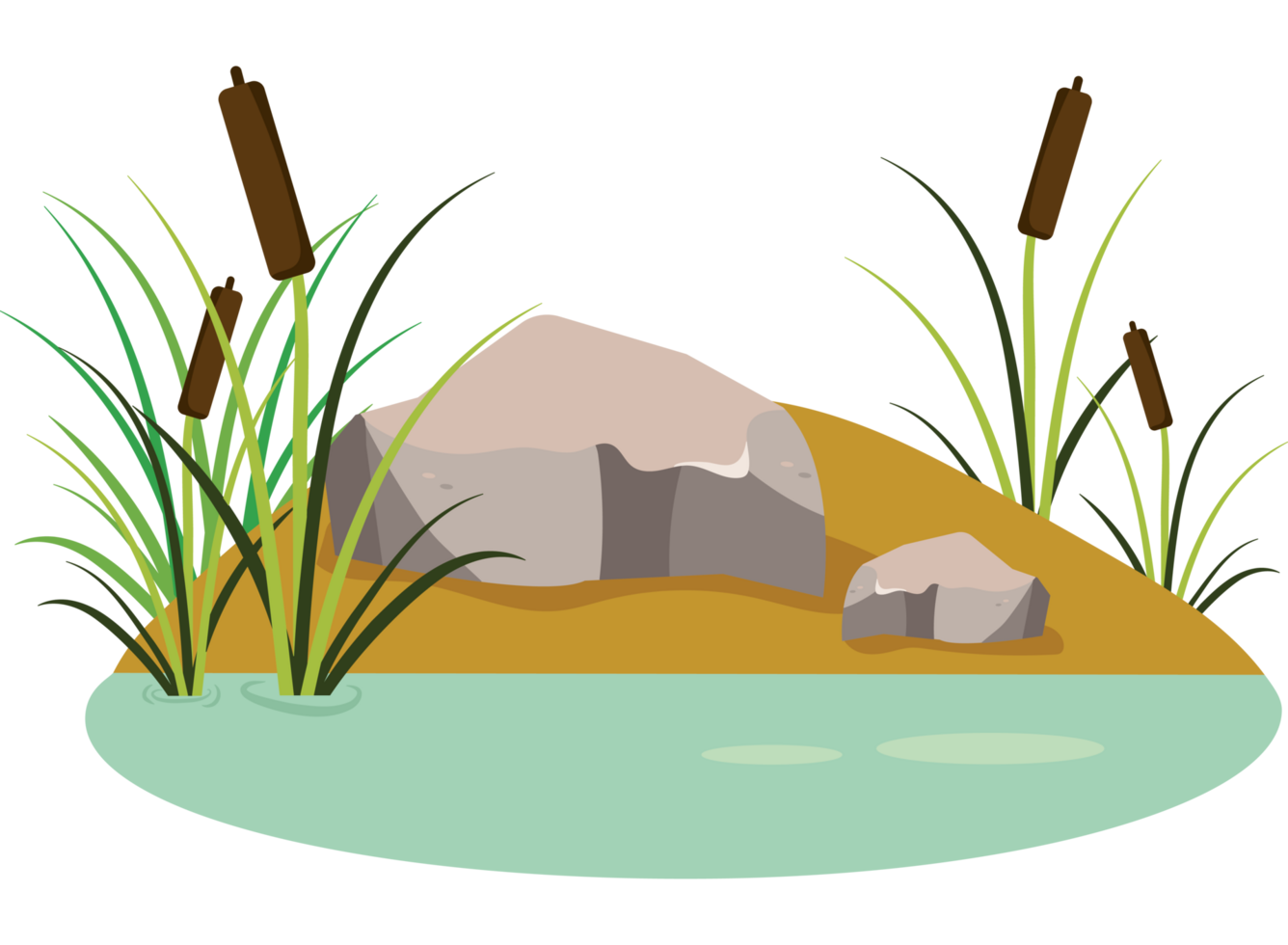 A rock and grass in a pond with water png