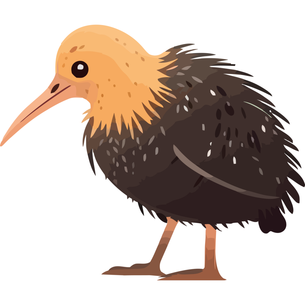 A cartoon bird with a long beak png