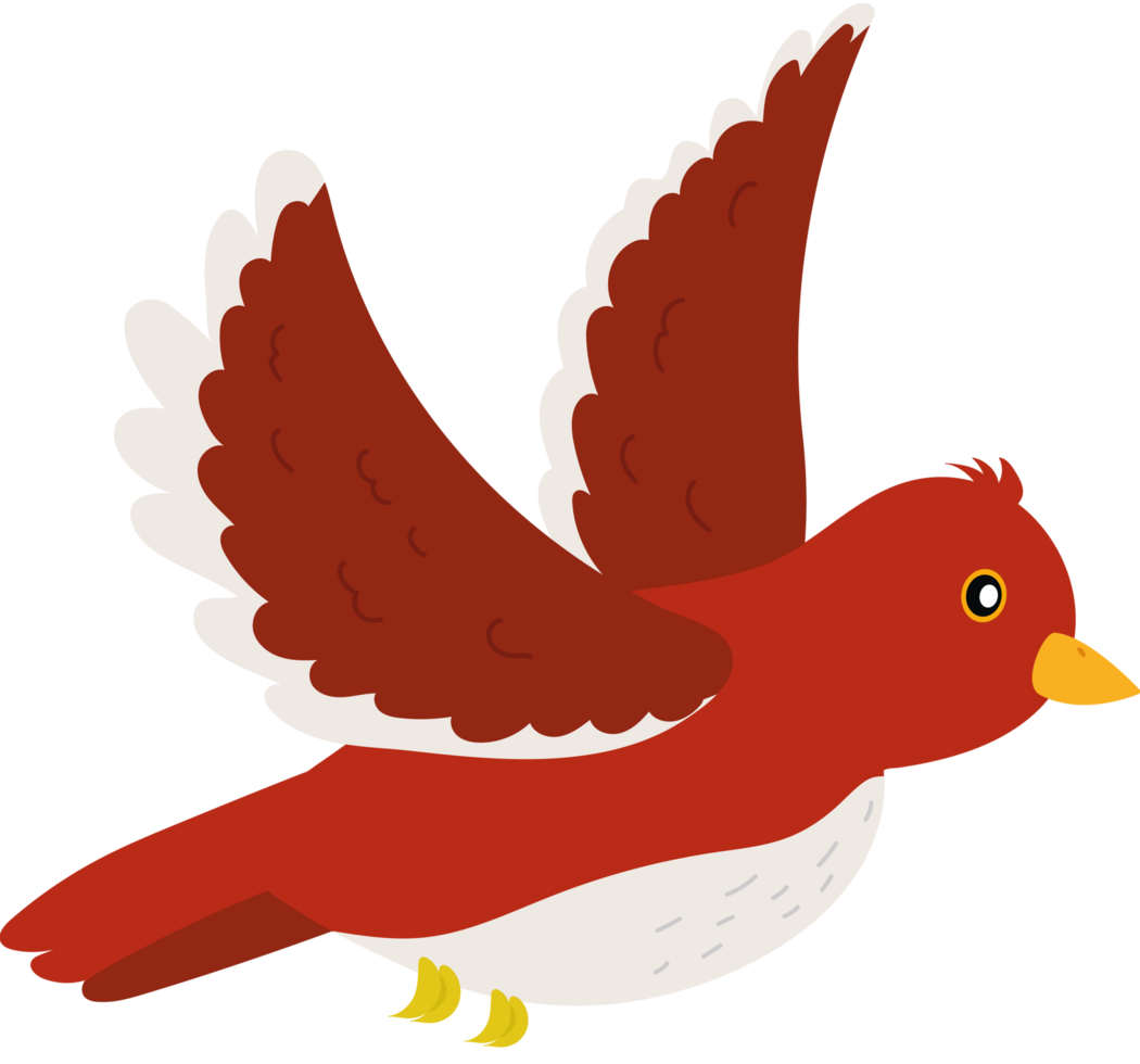 A red bird flying in the air png