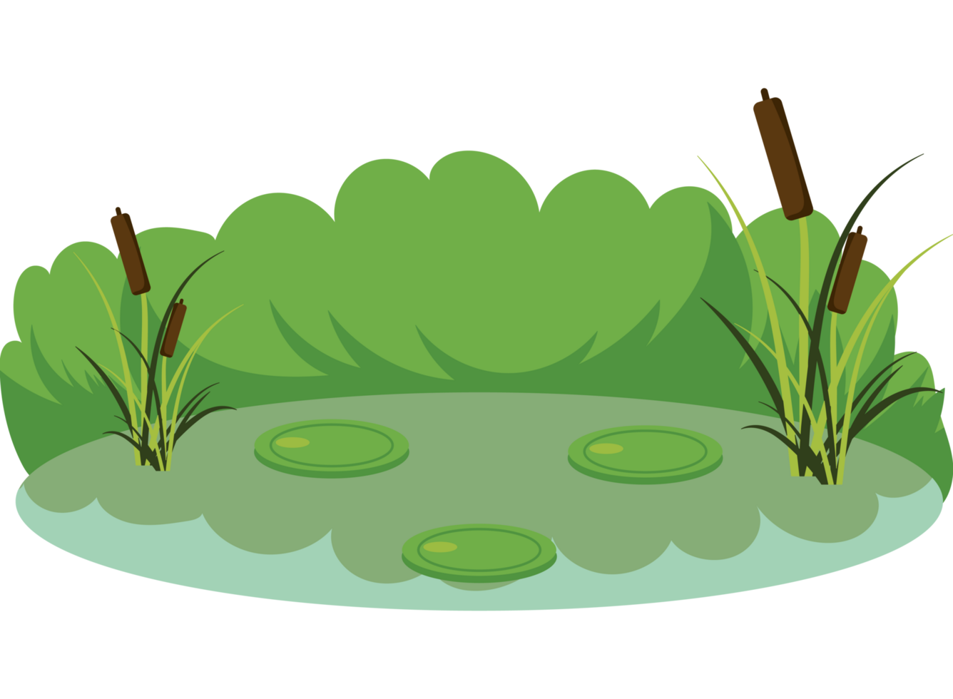 A cartoon illustration of a pond with lily pads png