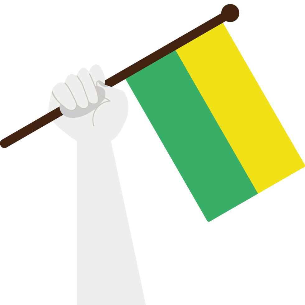Hand holding a flag of guinea png