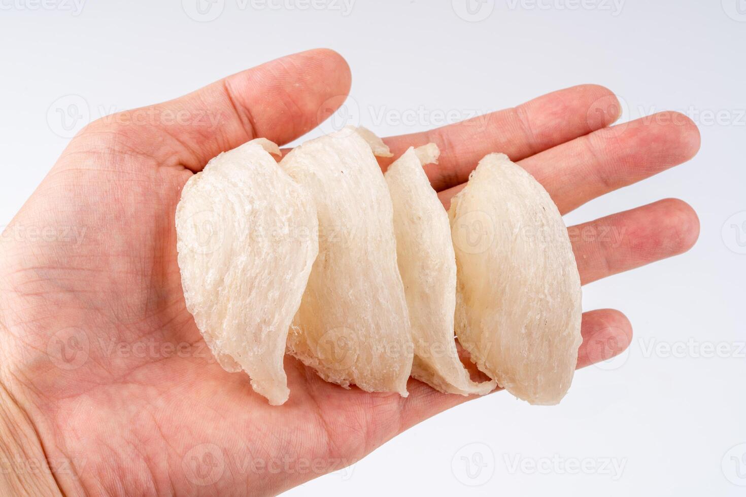 Raw edible birds nest materials for tradition chinese medicine. Swallow nest the traditional chinese delicacy. photo