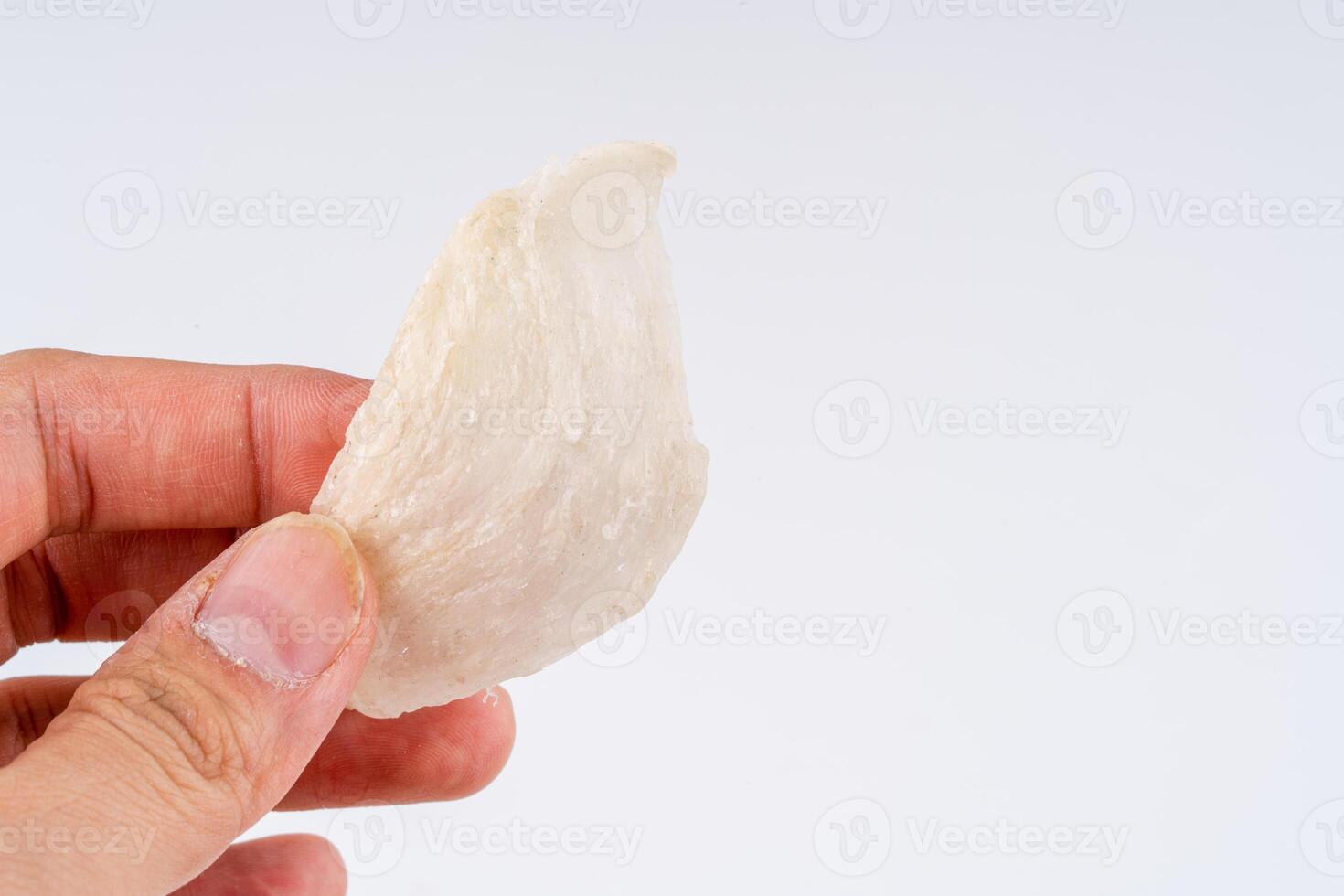 Raw edible birds nest materials for tradition chinese medicine. Swallow nest the traditional chinese delicacy. photo