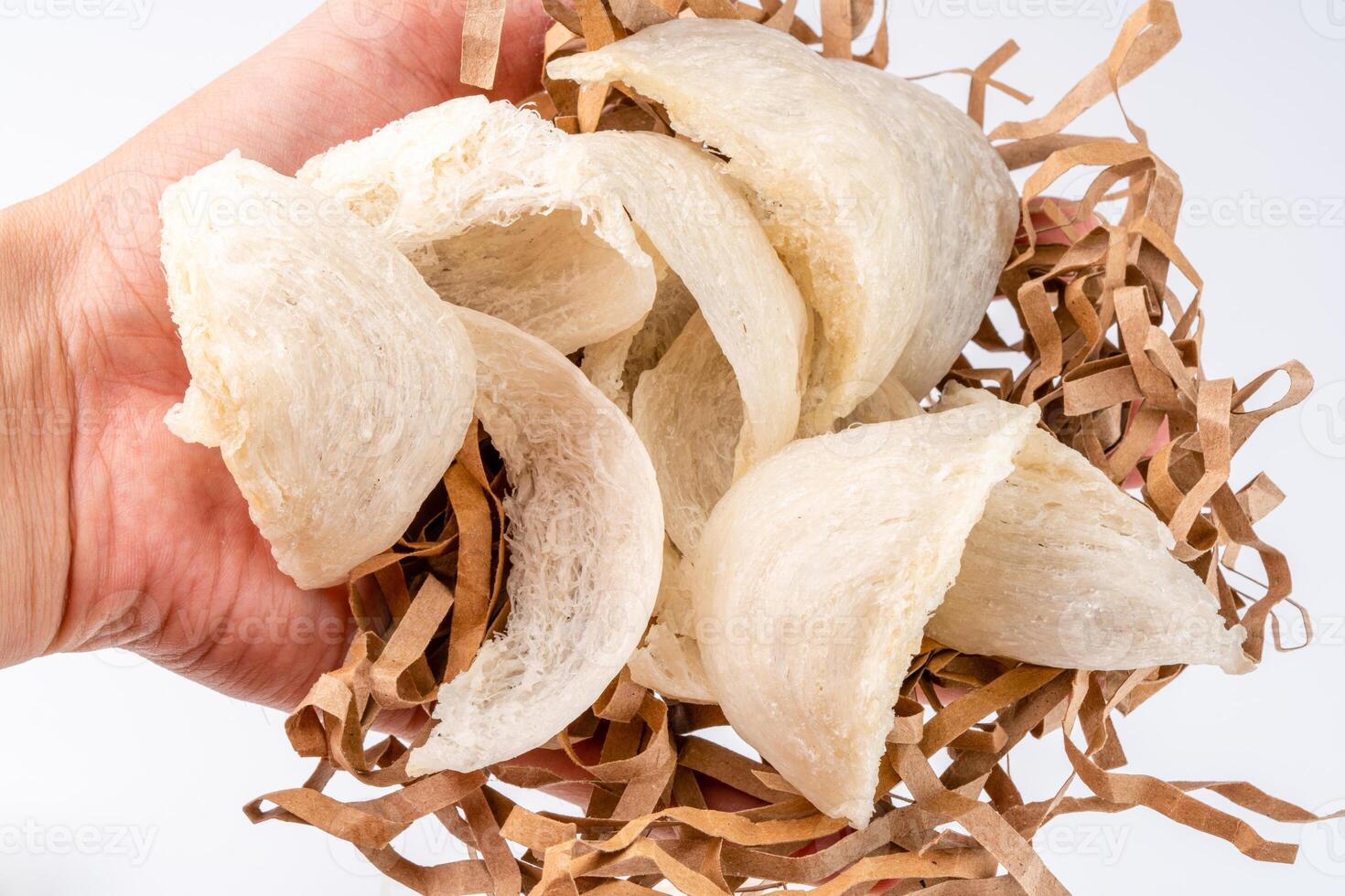 Raw edible birds nest materials for tradition chinese medicine. Swallow nest the traditional chinese delicacy. photo
