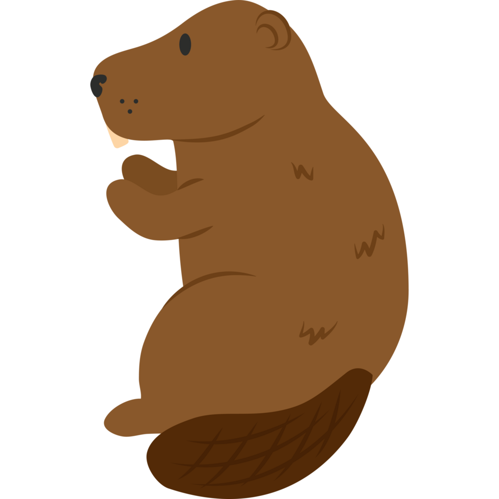 A cartoon beaver sitting on its hind legs png