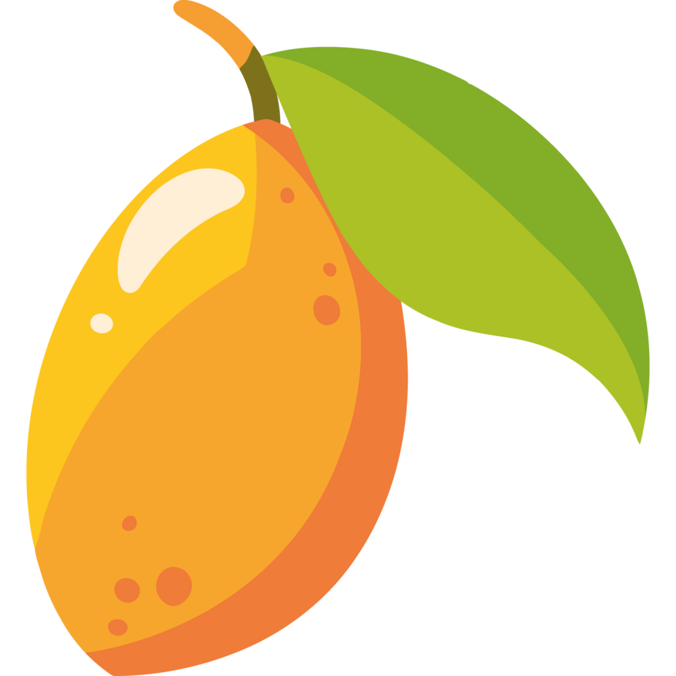 An orange fruit with a leaf on it png