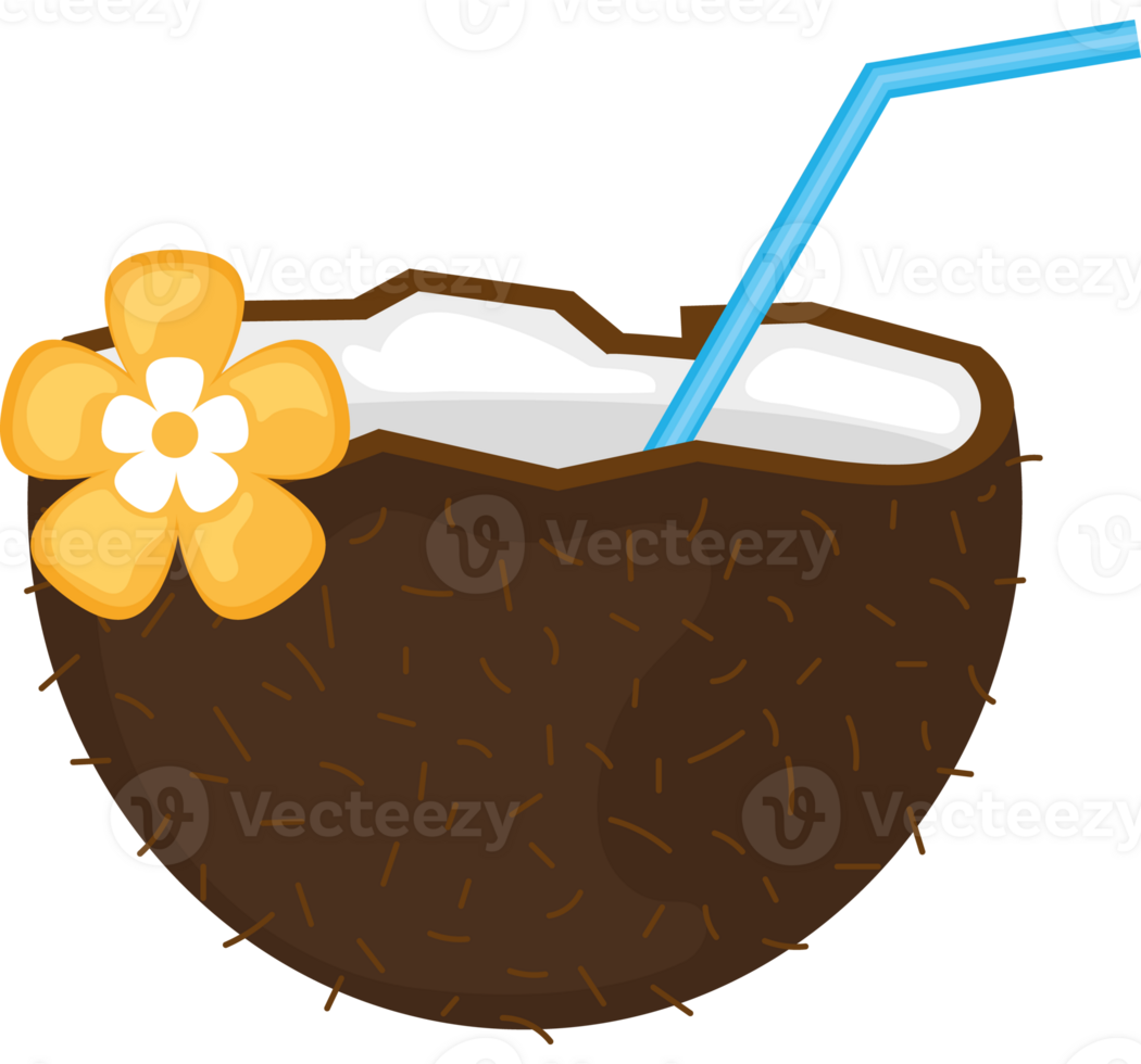 Coconut drink clipart png
