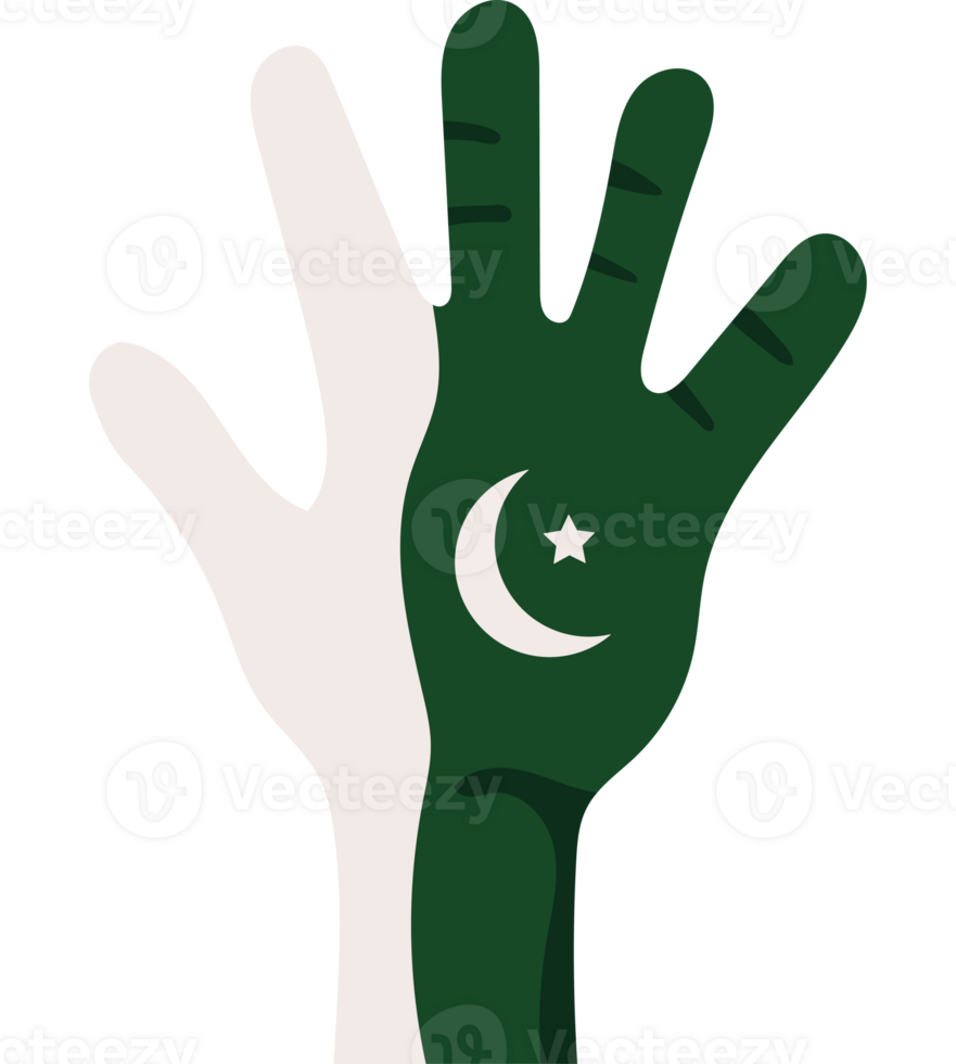 Pakistan flag hand png