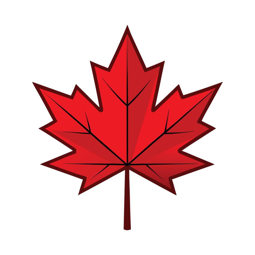 red maple leaf illustration vector