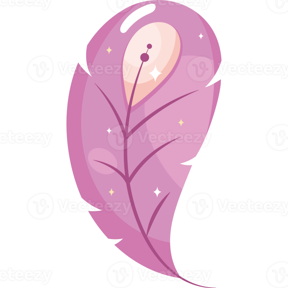 A pink feather with stars on it png