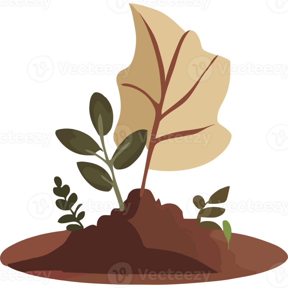 A cartoon illustration of a plant growing out of the ground png