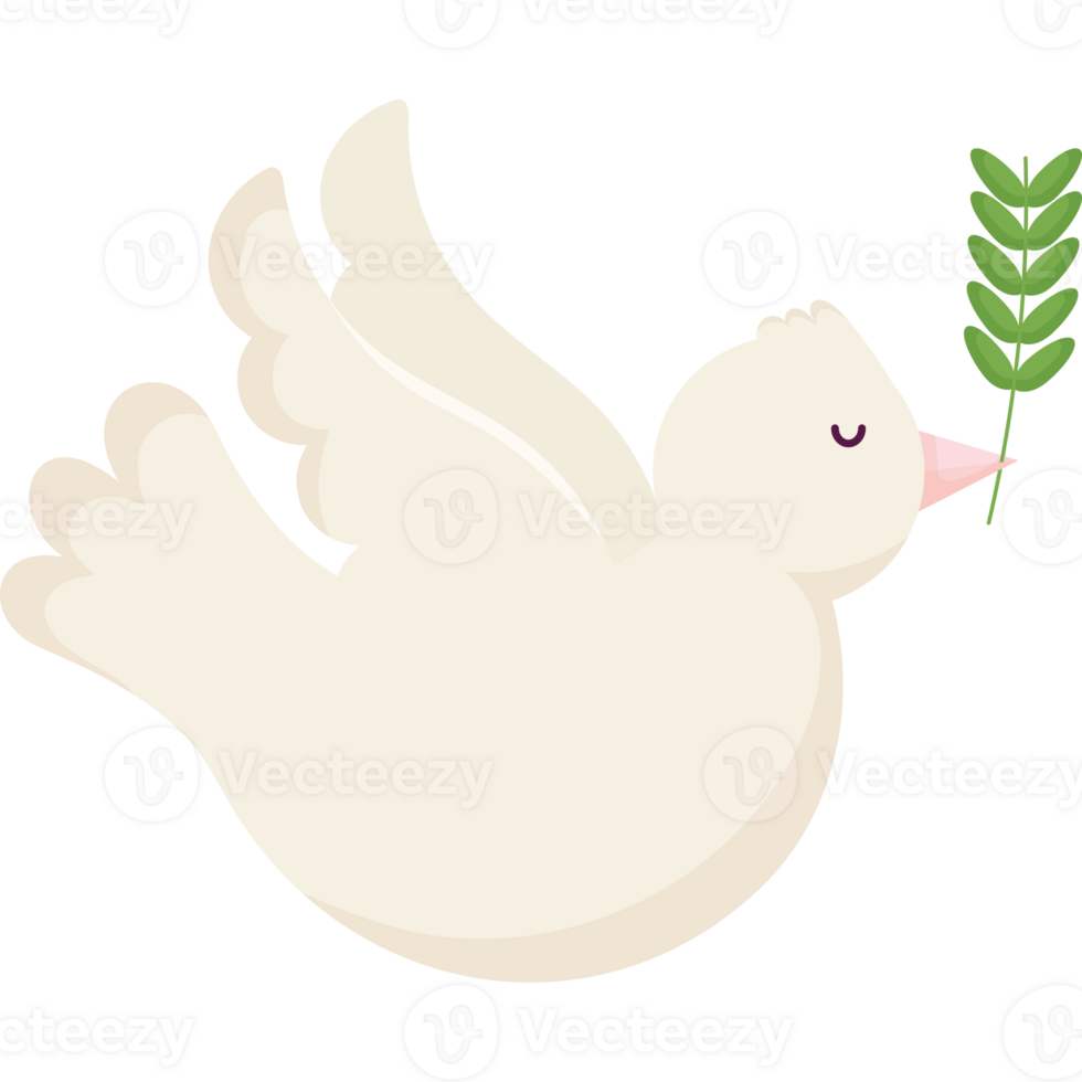 A white dove with a green leaf in its beak png