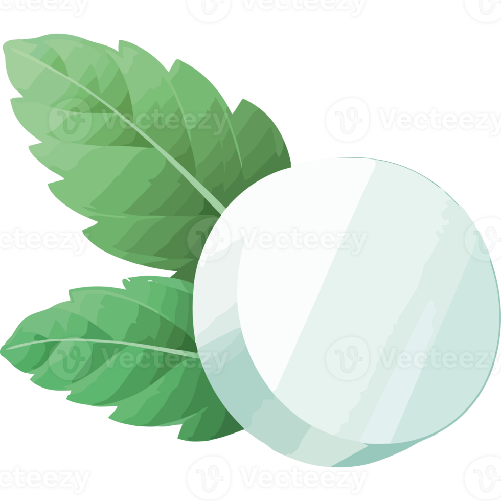 A white ball with leaves on it png