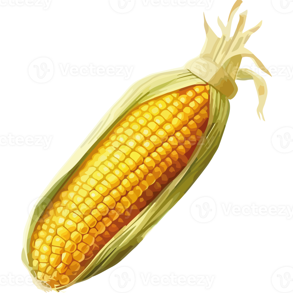 Corn on the cob png