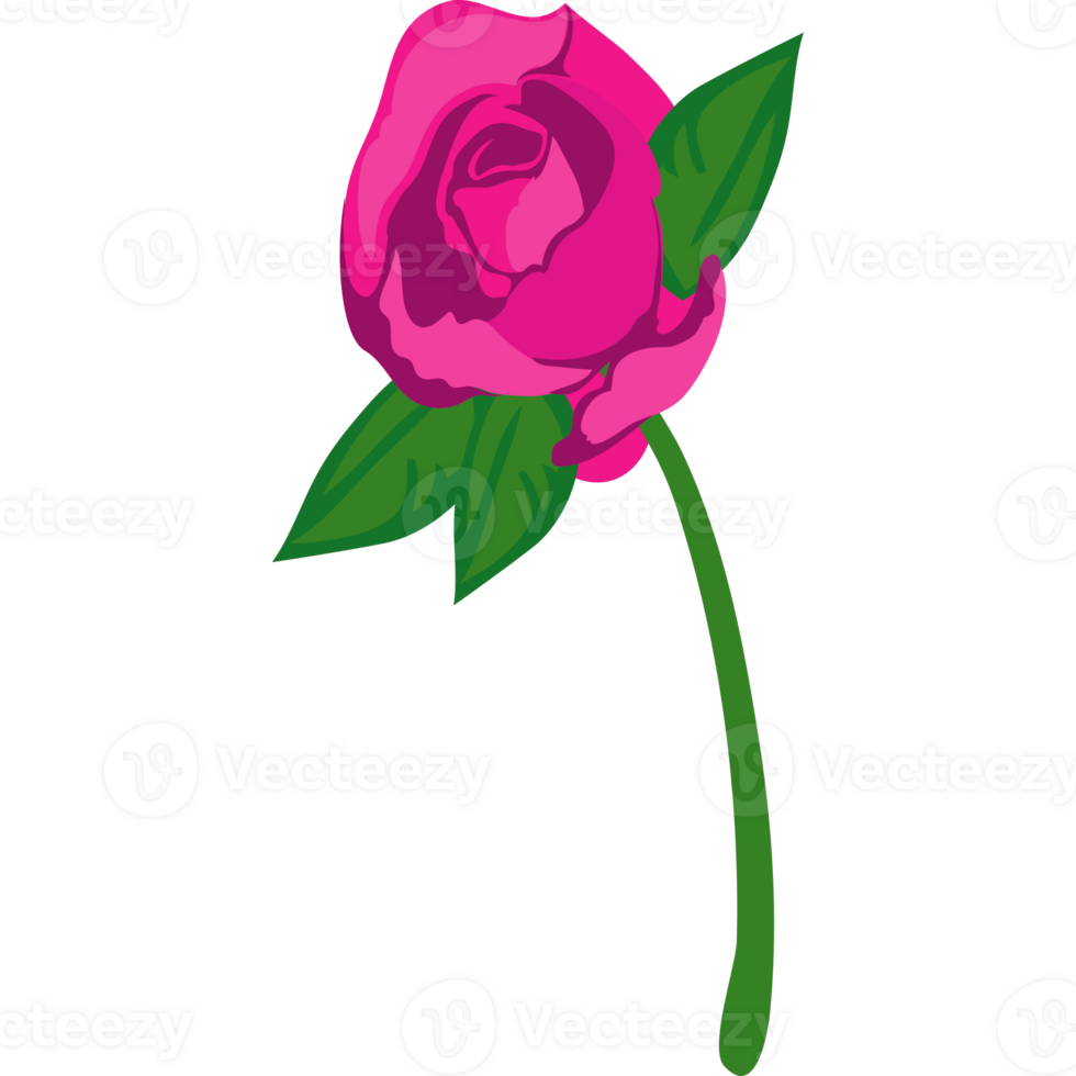 Pink rose clipart png