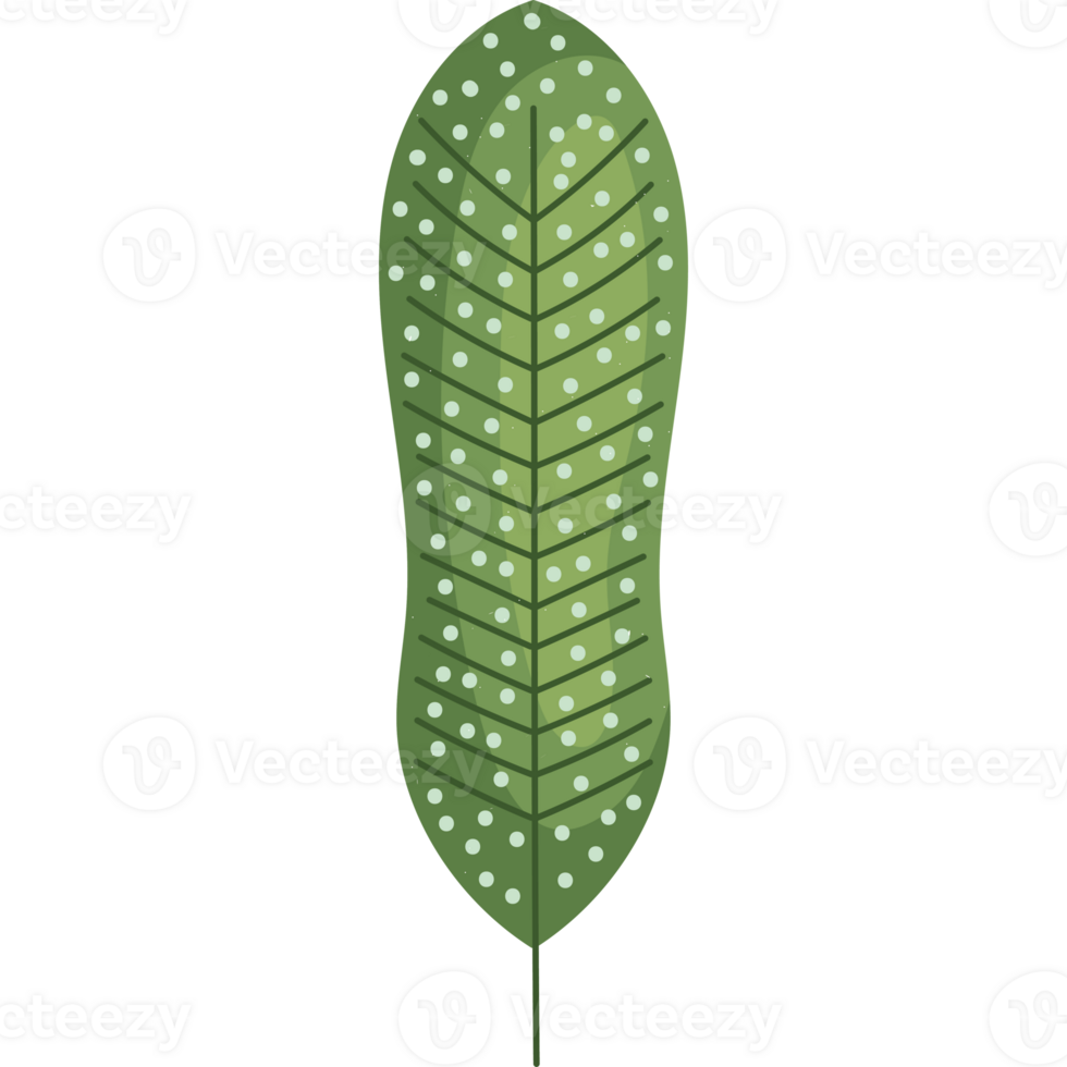 A green leaf with dots on it png