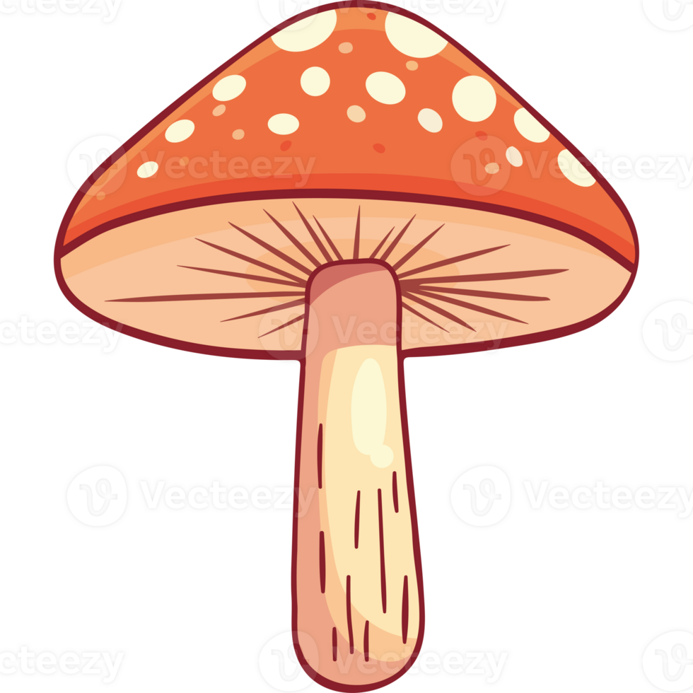 A cartoon mushroom with a red and white color png