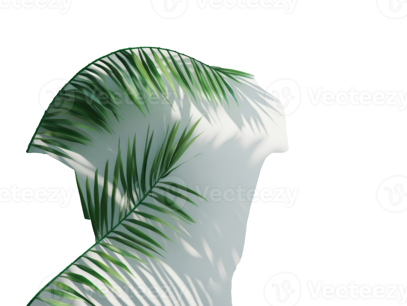 Person silhouette draped in palm leaves on white backdrop, transparent png