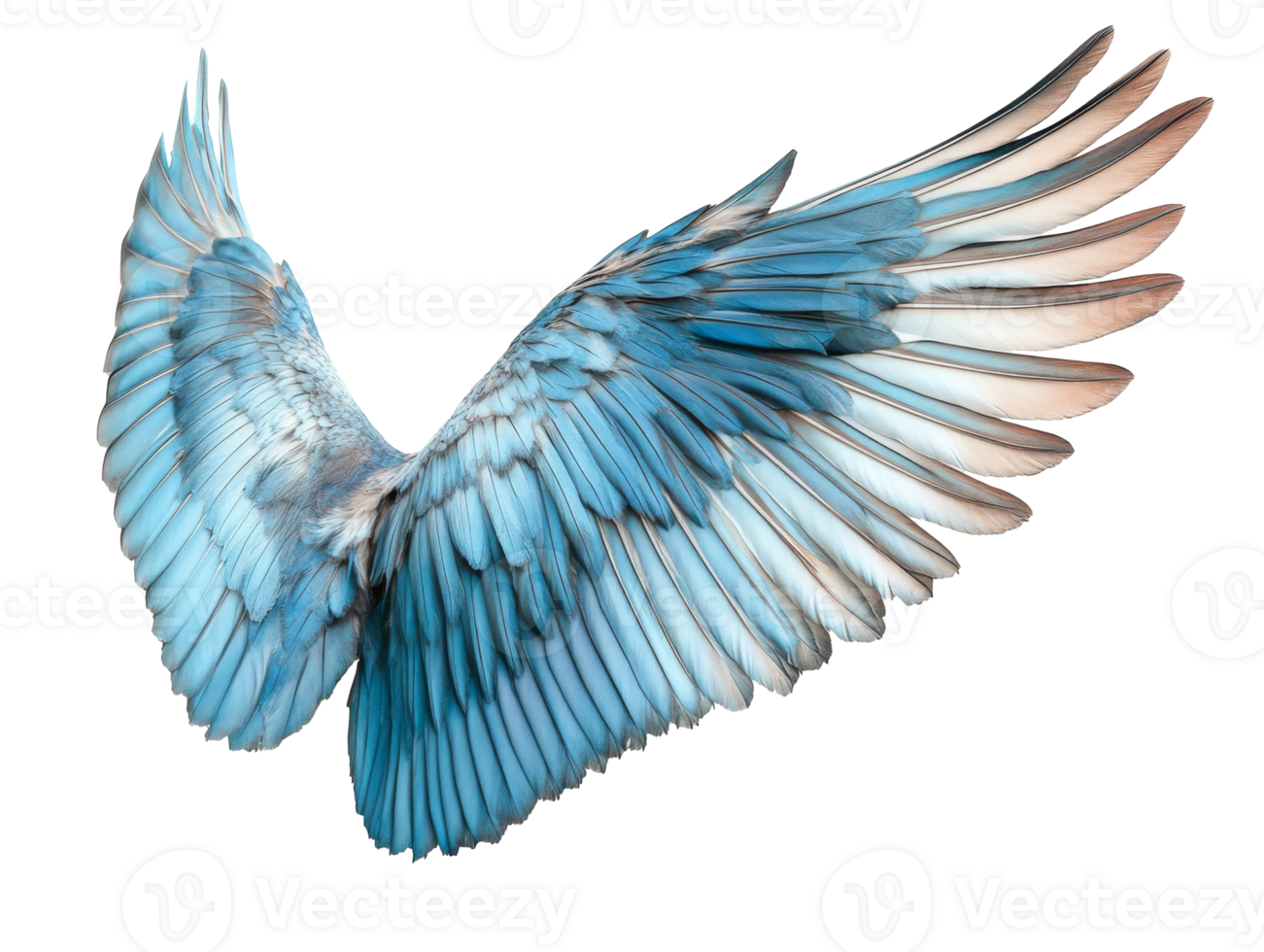 Majestic blue wings of a bird in mid-flight display elegance, transparent png