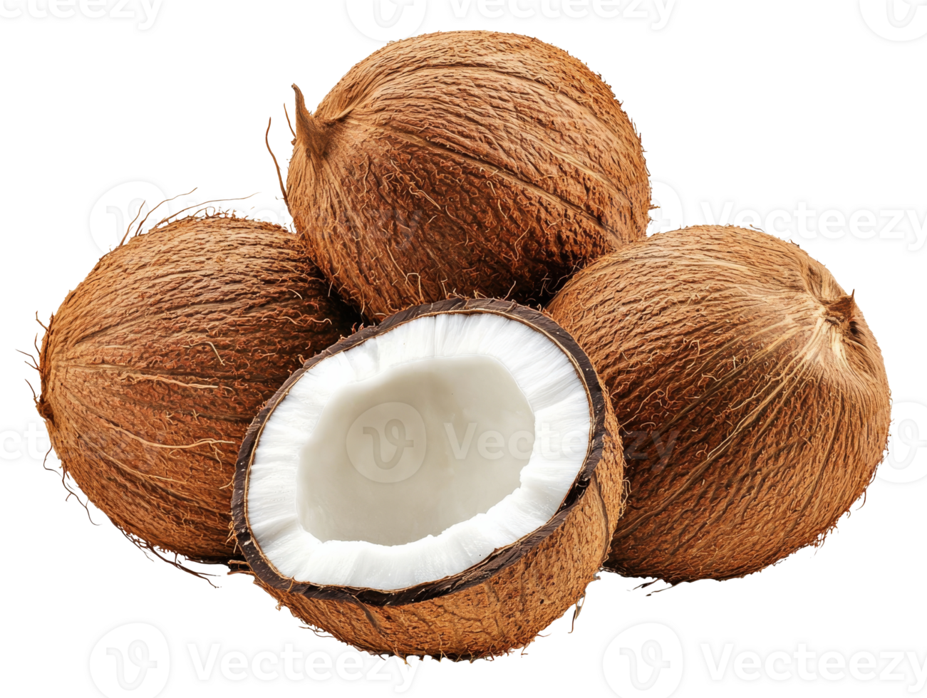 Fresh coconuts on display with one open revealing white flesh, transparent png