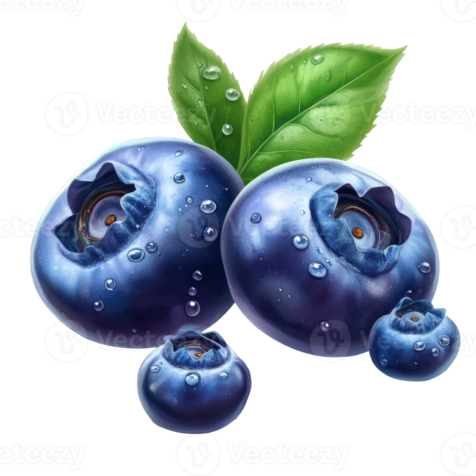 Fresh blueberries with water droplets on green leaves in sunlight, transparent png