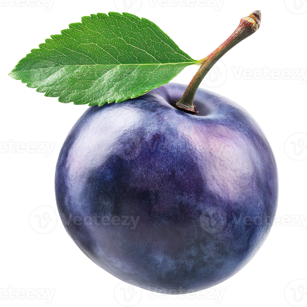 Freshly picked ripe plum with green leaf resting on white background, transparent png