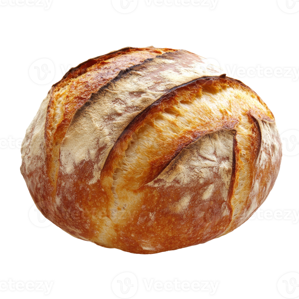 Freshly baked sourdough bread with crusty exterior and golden color, transparent png