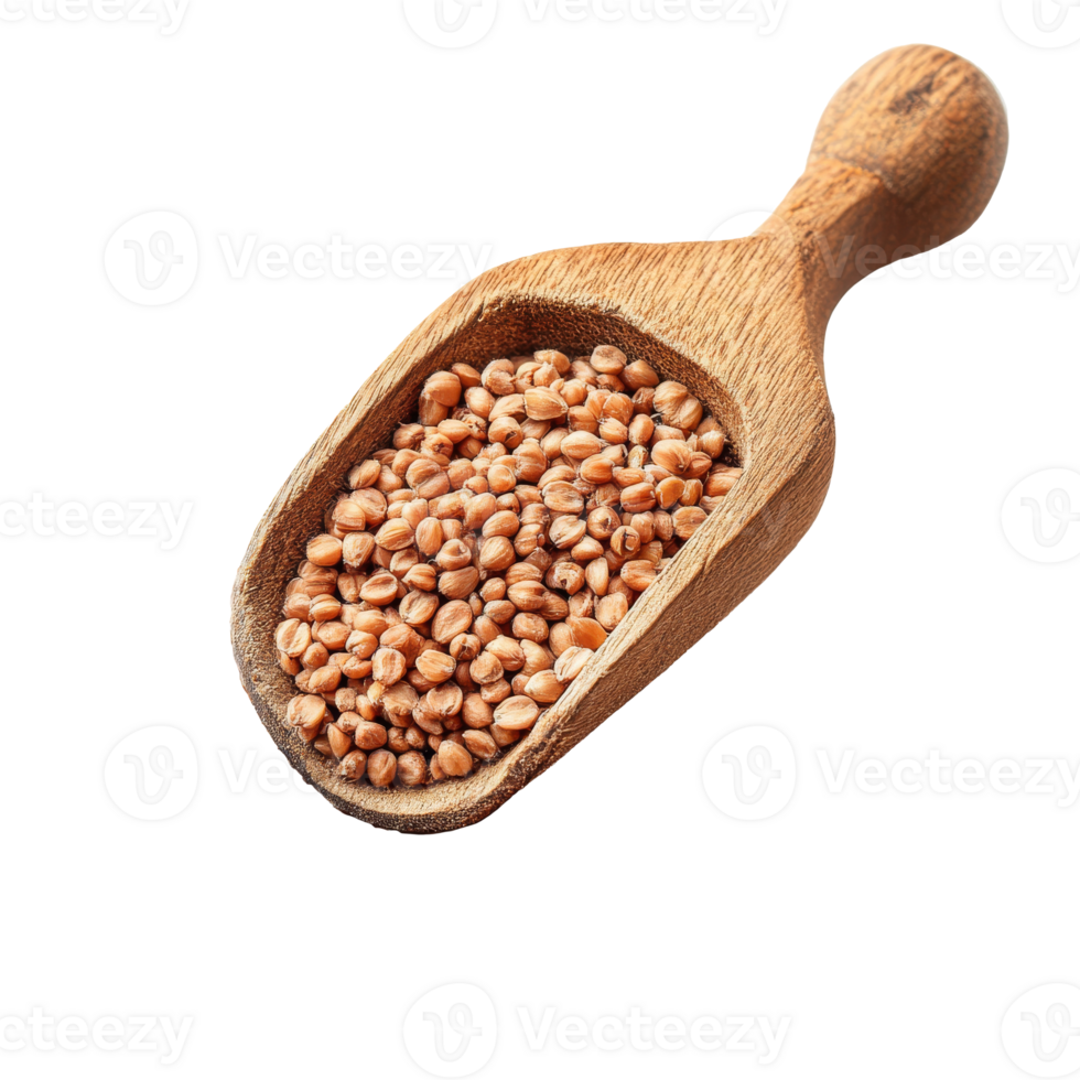 Wooden scoop filled with brown grains on a white background, transparent png
