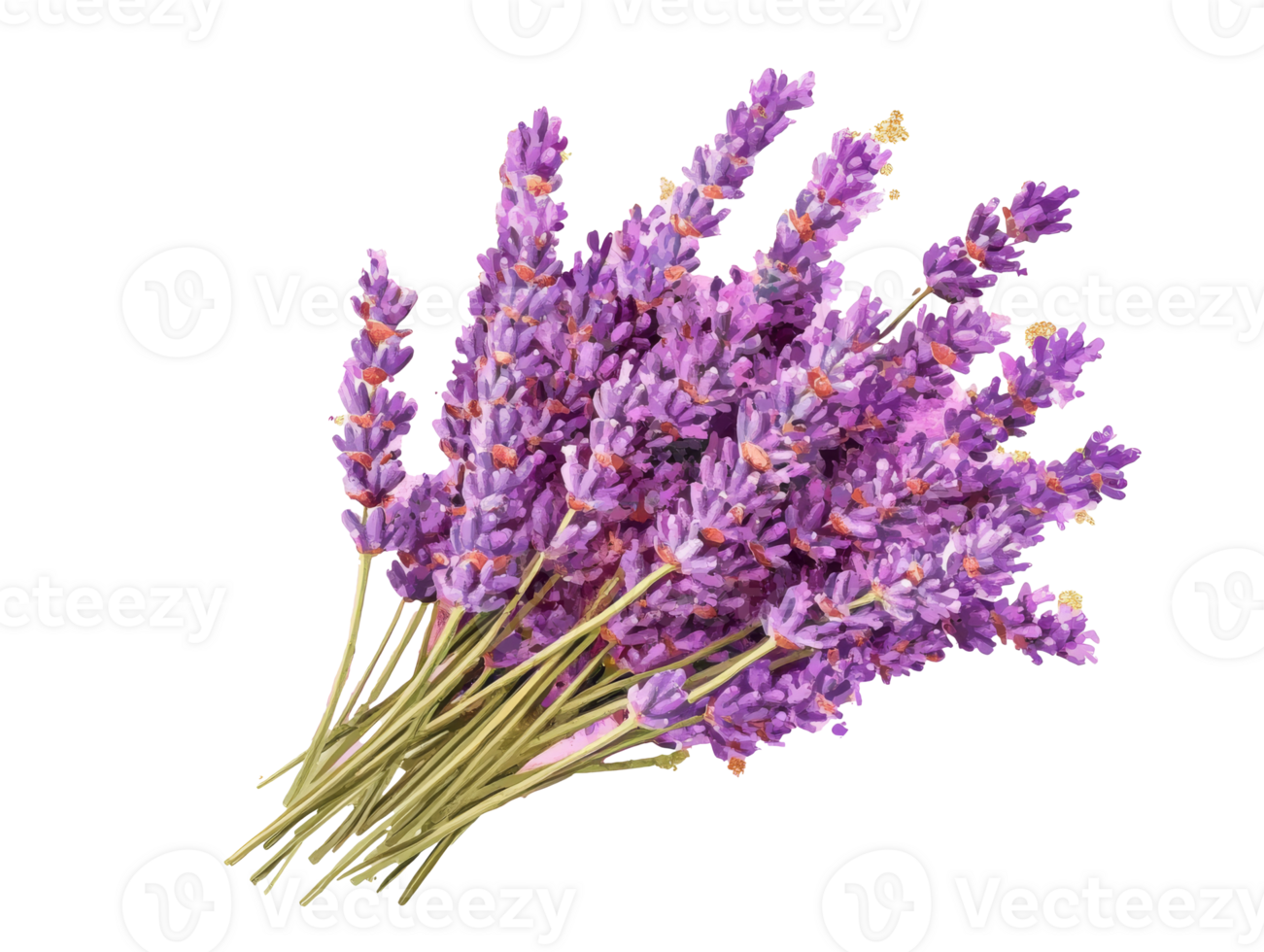 vibrant lavande bouquet mettant en valeur fleurit et tiges, transparent png