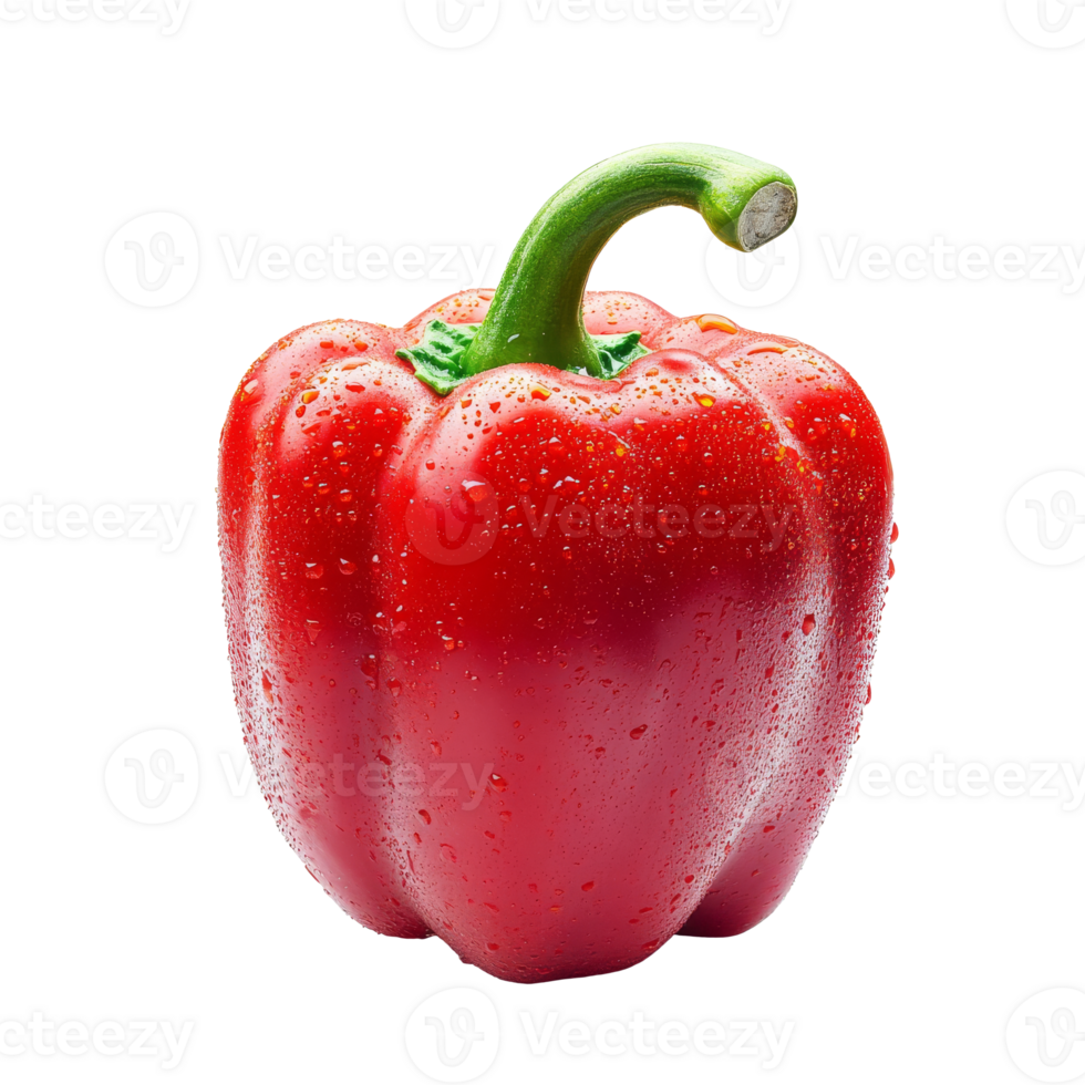 fresco vermelho Sino Pimenta com gotas pronto para culinária, transparente png