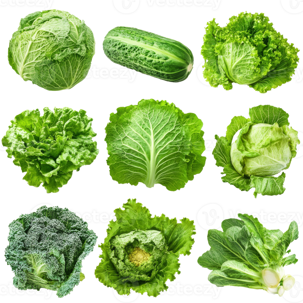 Fresh assortment of green leafy vegetables on a white background, transparent png