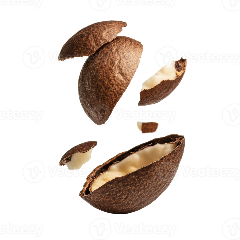 Cracked cocoa bean revealing white cocoa butter inside, transparent png