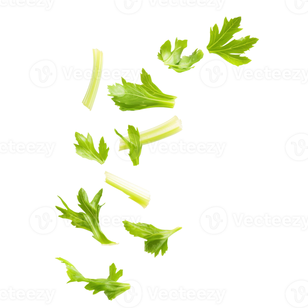 Green celery leaves soaring against a white backdrop, transparent png