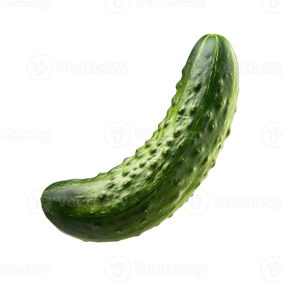 Fresh cucumber isolated on a white background, showcasing texture, transparent png