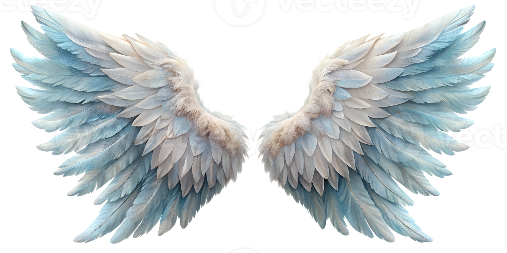 Soft blue and white feather wings on display, cut out transparent png