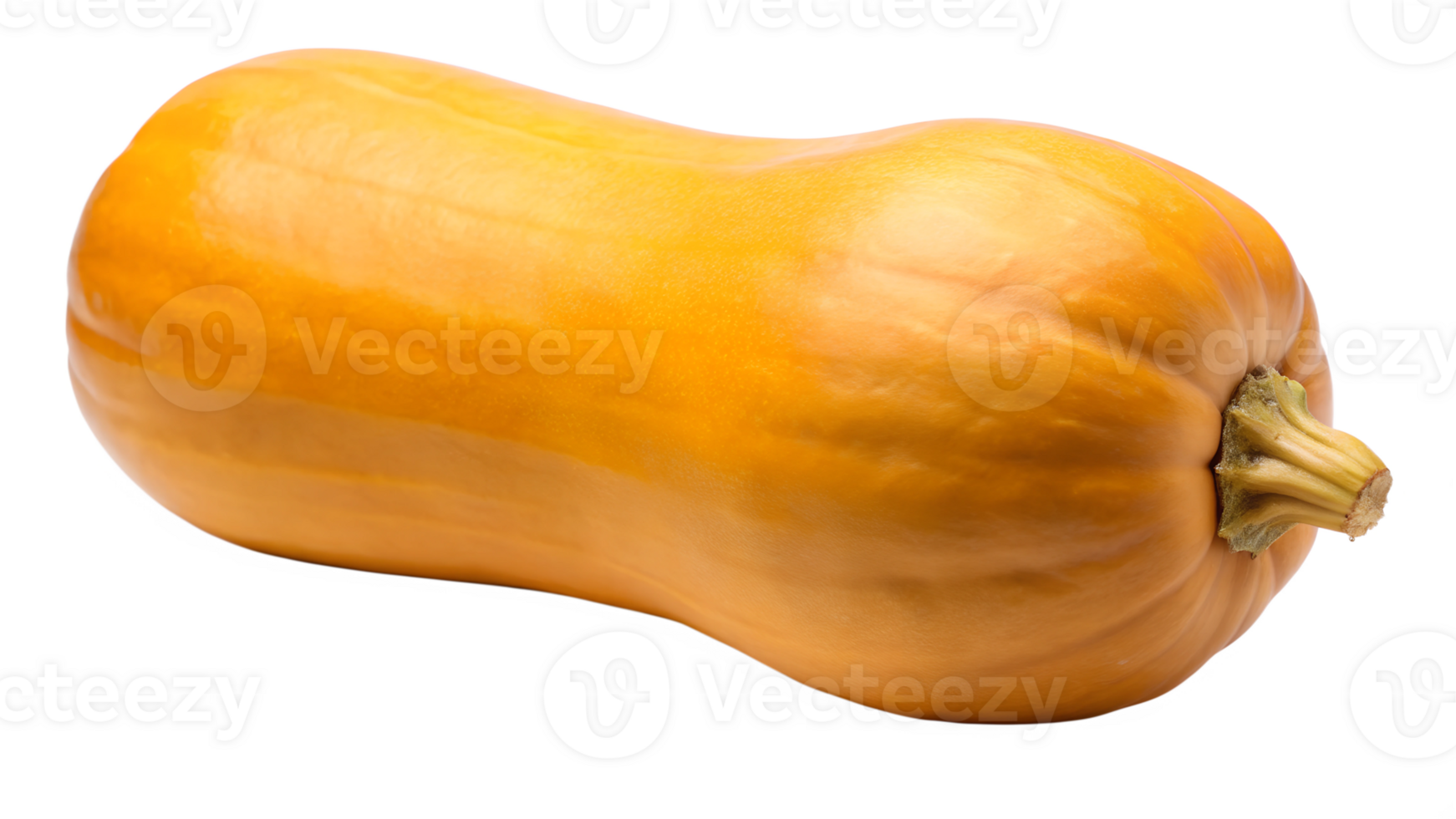 Butternut squash on white, ready to cook transparent png