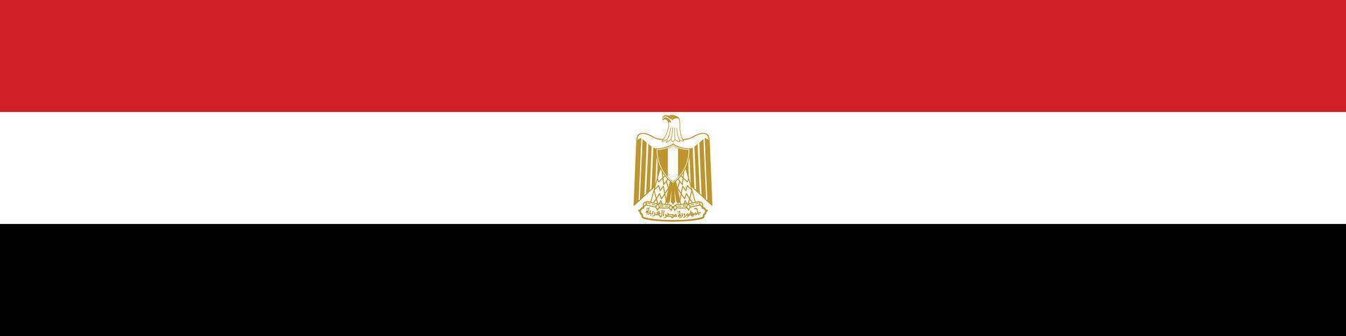National Egypt Long rectangular Flag , National Flag of Egyptian vector