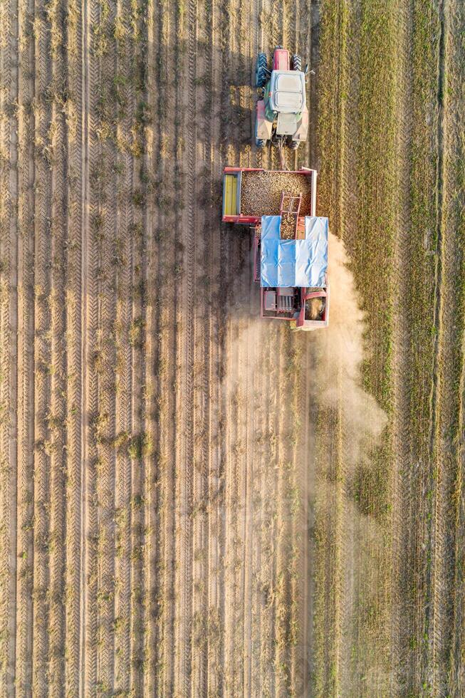 Directly above drone view. Potato Harvester with a tractor. Seasonal harvesting of potatoes. photo