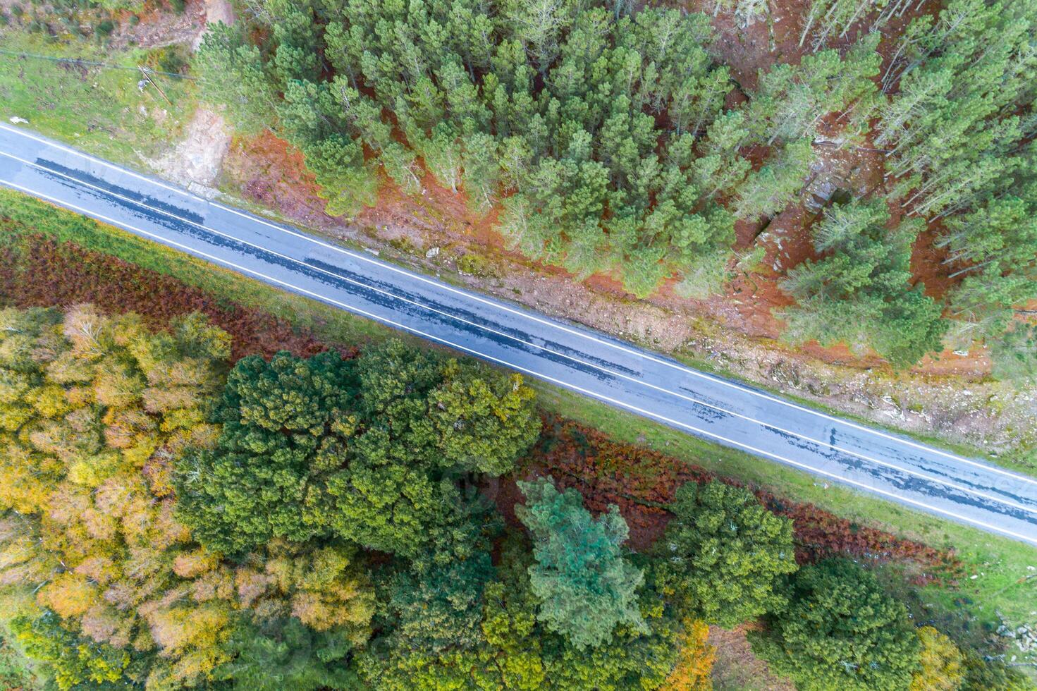 aerial view with drone over a road in a rural mountain area in fall photo