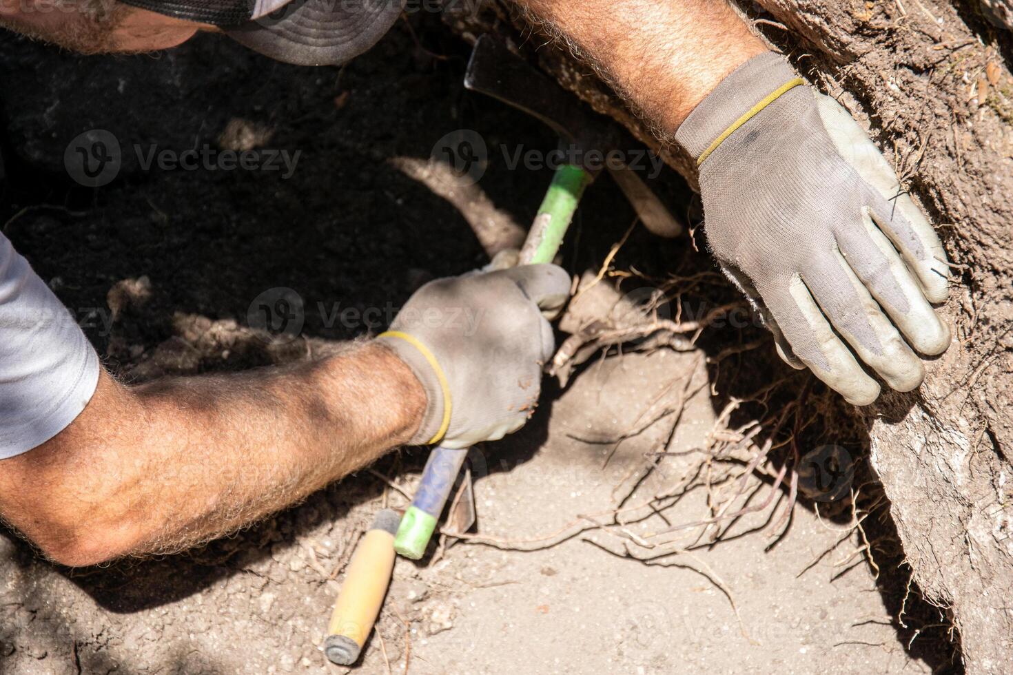 arms of an archaeologist working in an archaeological dig in a hole in the ground. photo