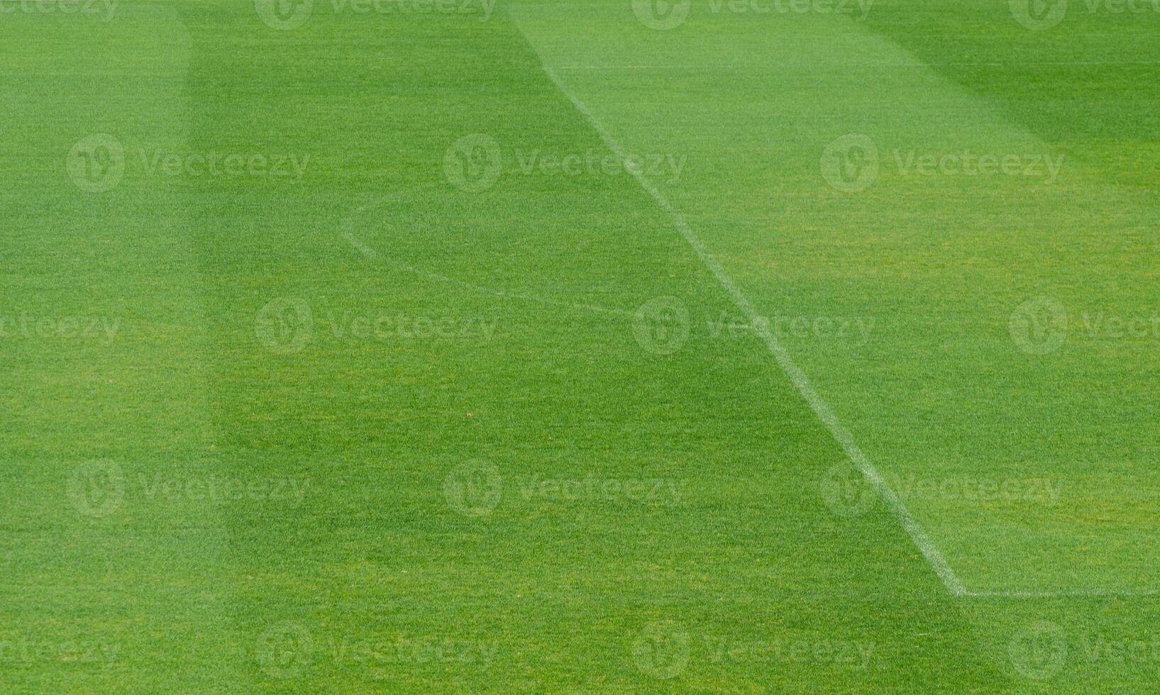 detail of a football field with non-marked lines photo