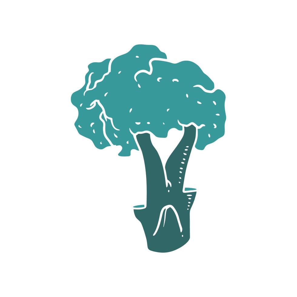 Broccoli Cartoon drawing. vector
