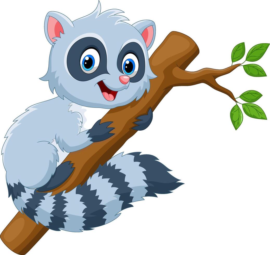 Cartoon Raccoon on the tree branch vector