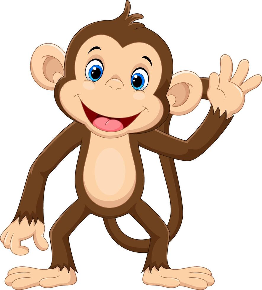 Cute monkey cartoon isolated on white background vector