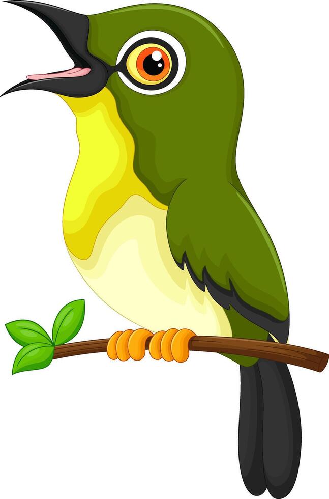 Cute little bird cartoon on a tree branch vector